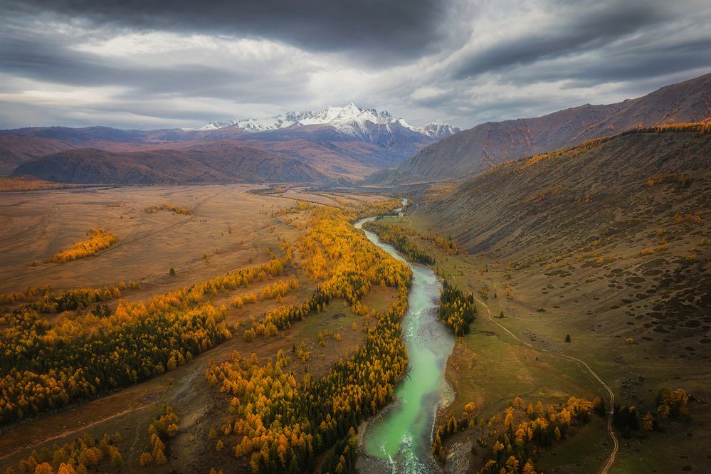 Photograph by Sergey Kozlov