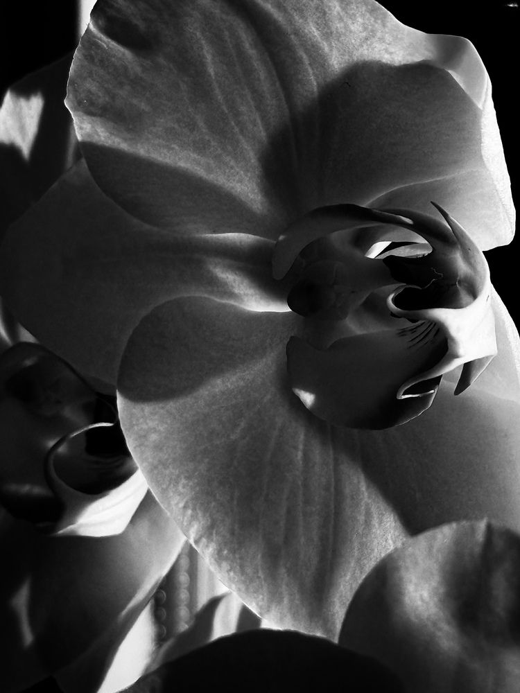 Фотография автора Евгения Сычкова