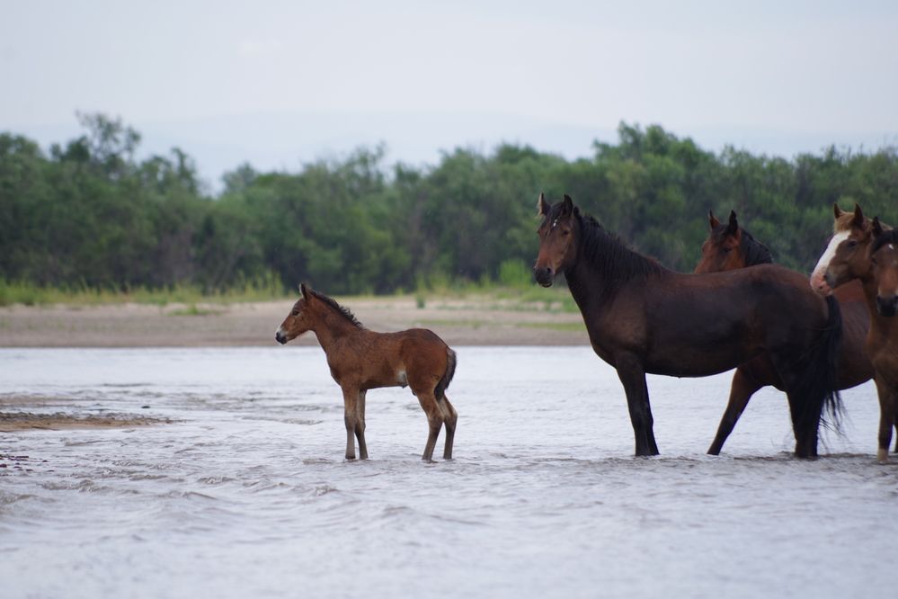 Photograph by Андрей Корытов