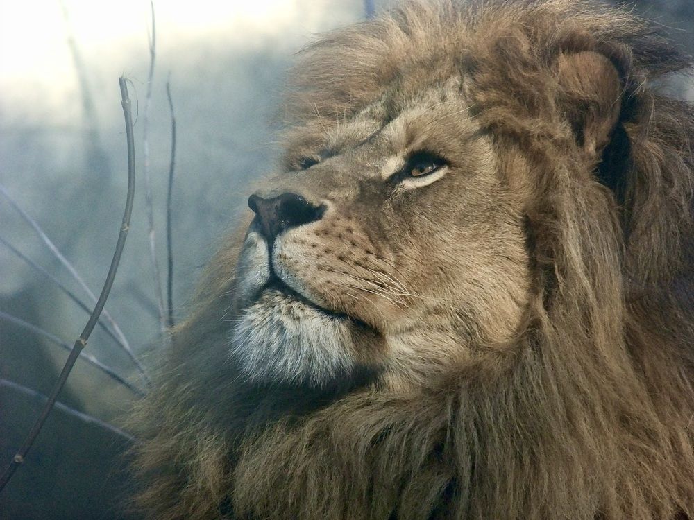 Photograph by Татьяна Шитлина