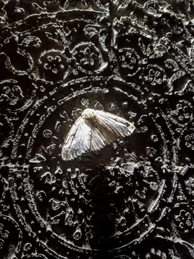 Photograph by Екатерина Оспанова