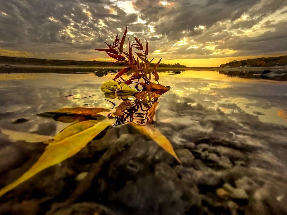 Photograph by Александр Разумов