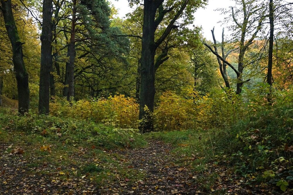 Photograph by jelena konickaja