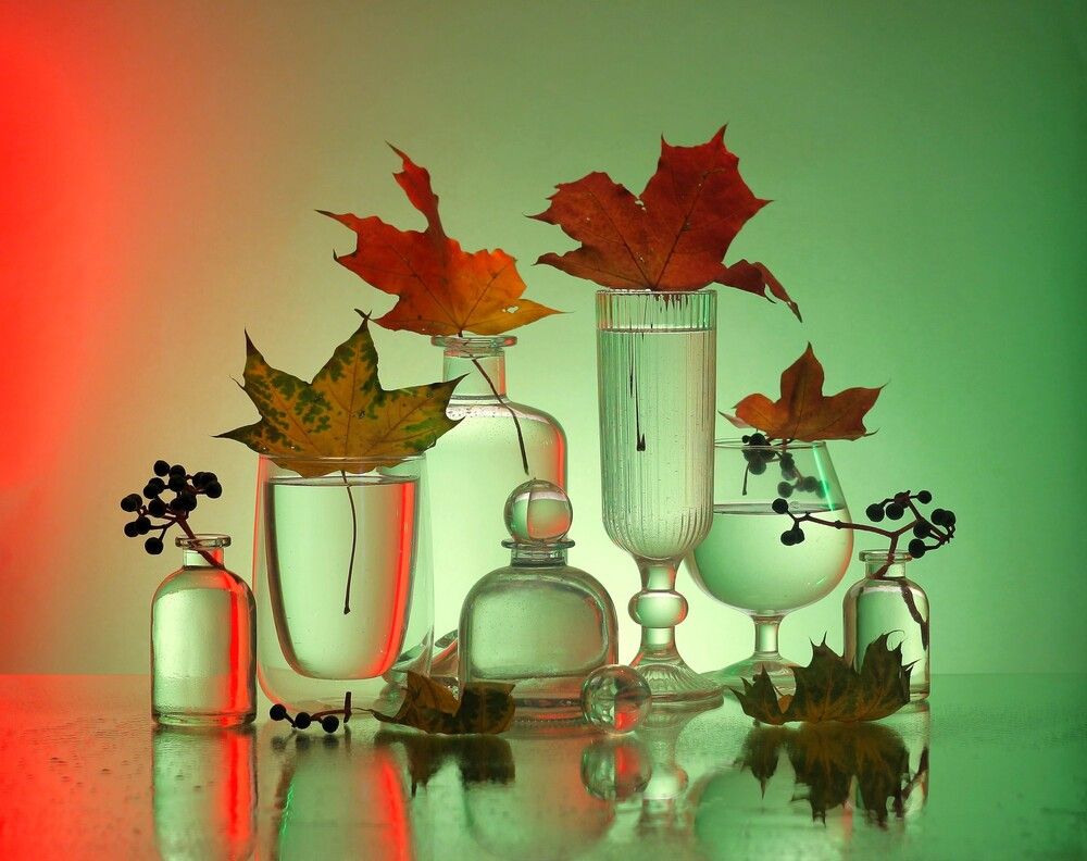 Photograph by Людмила Хрусталева*