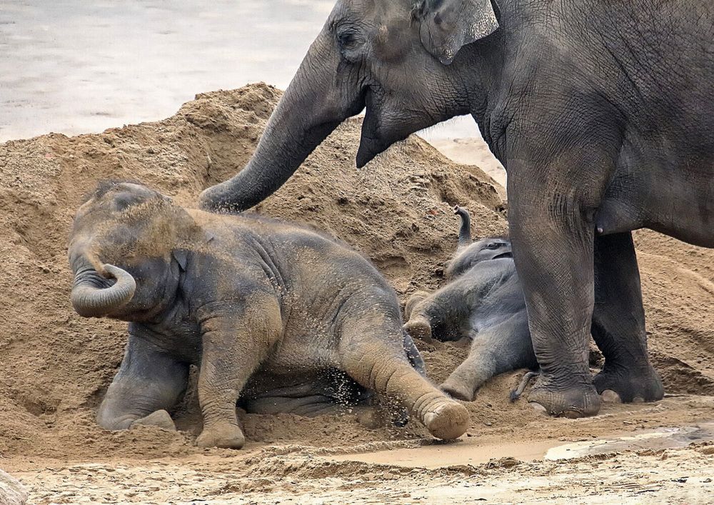 Фотография автора Александр