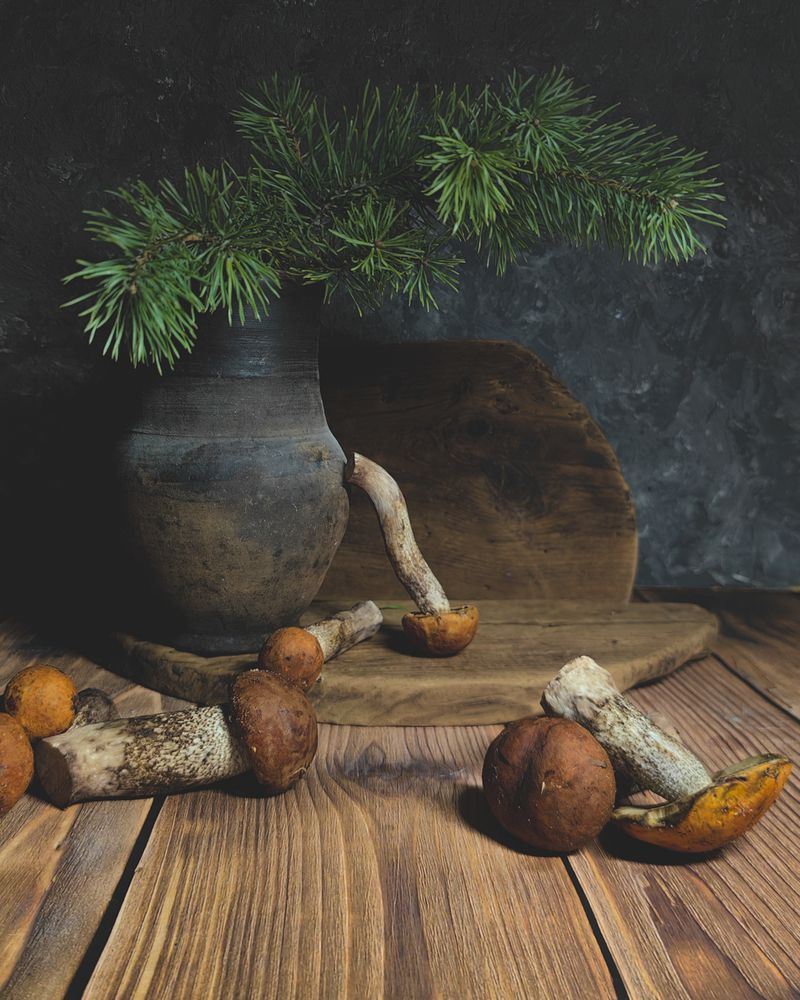 Photograph by Наталья Балабанова