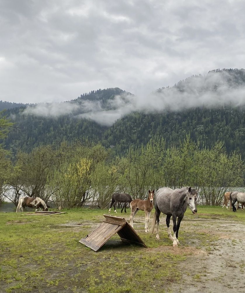 С мамой не страшно