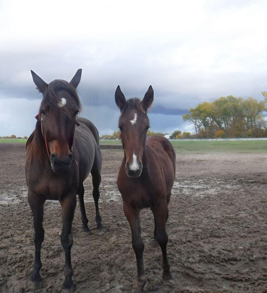 Photograph by Елена Сухорученкова