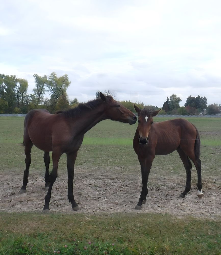 Забота друг о друге