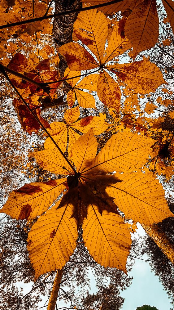 Photograph by Евгений Фисун