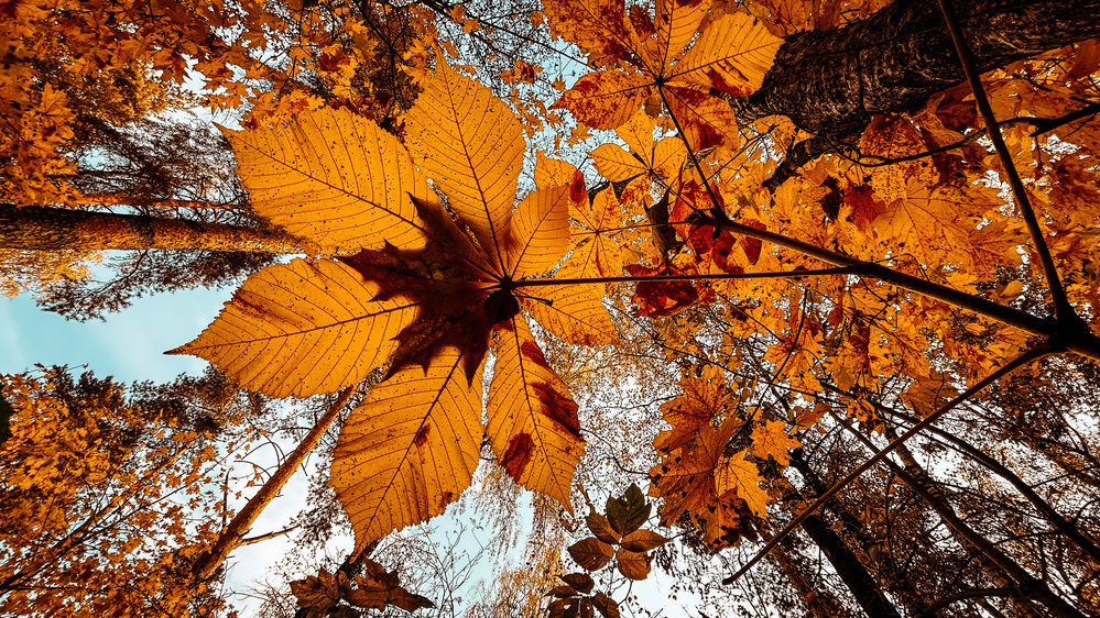 Photograph by Евгений Фисун