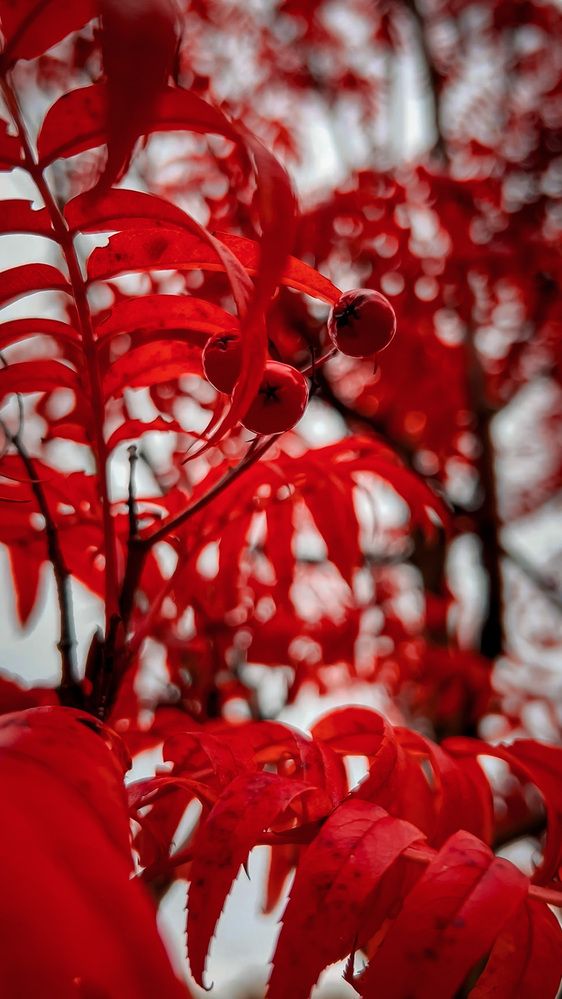 Photograph by Евгений Фисун
