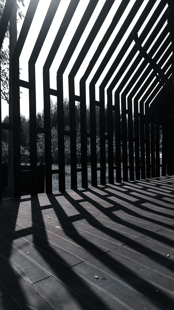 Фотография автора Nadi Shenfeld