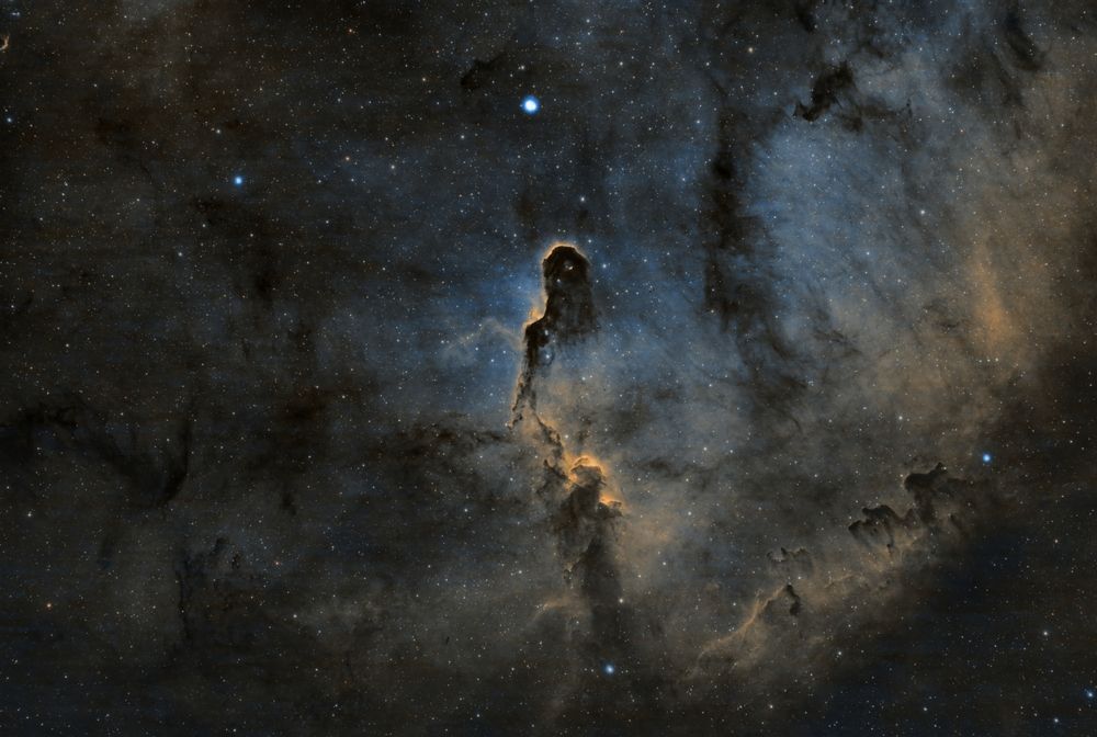 Photograph by Александра Шилова