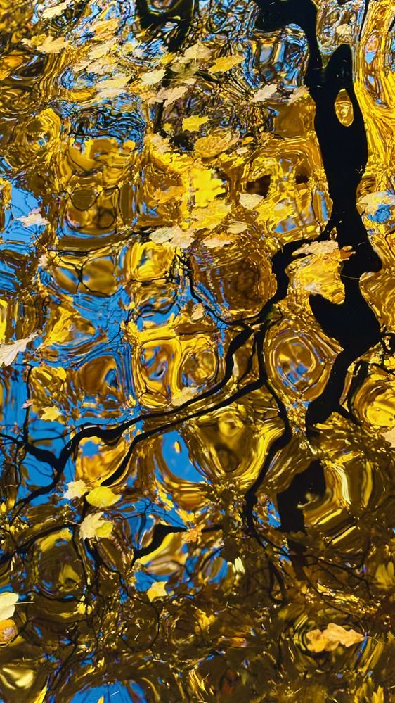 Фотография автора Alexander Solovyev