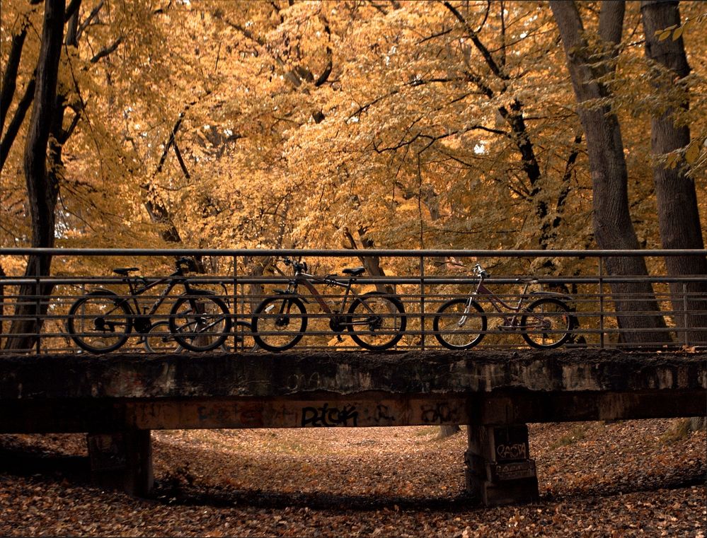 Прощай лето....(Goodbye summer....)