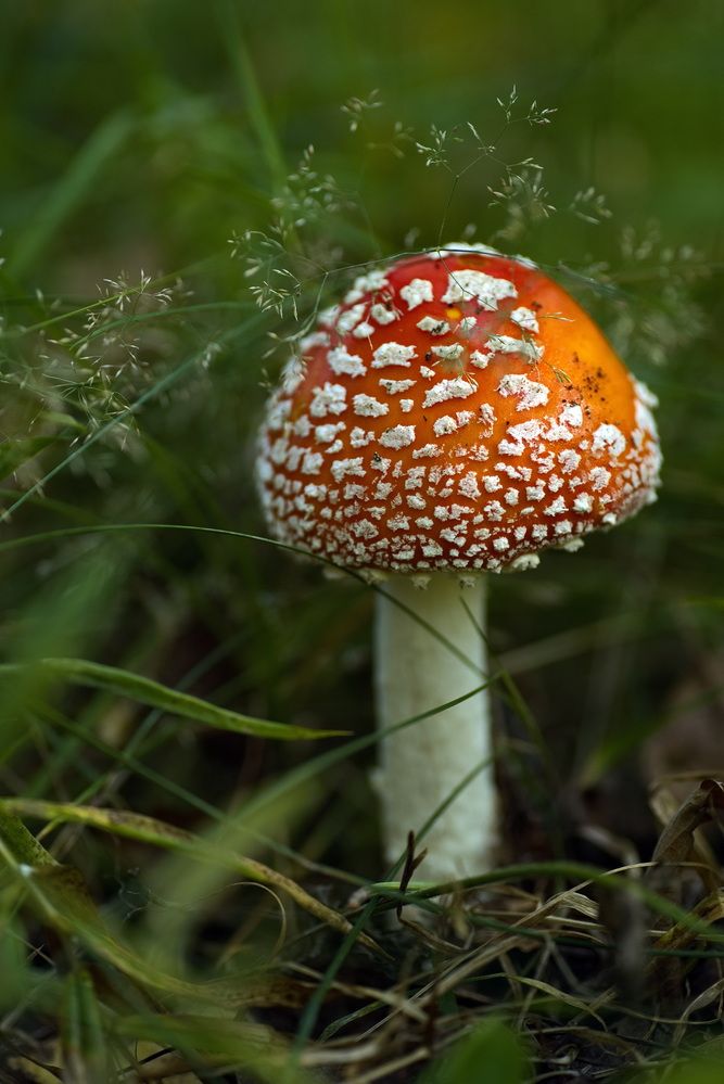 Фотография автора Юрий Кашлевский