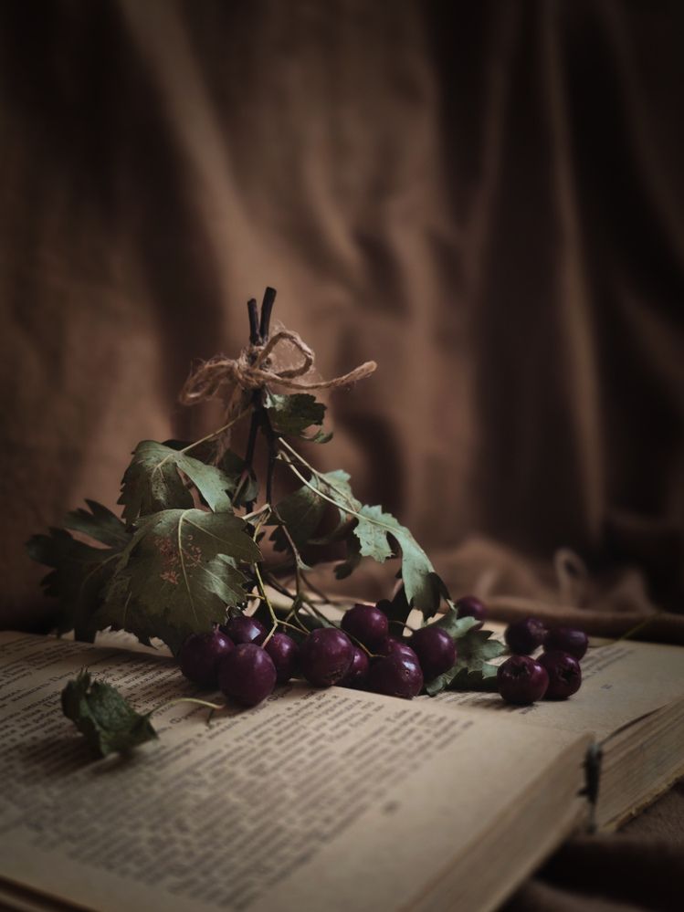 Photograph by Наталья Чурашова