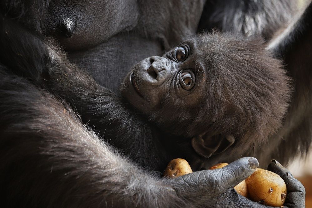 Photograph by Елена Кириллова