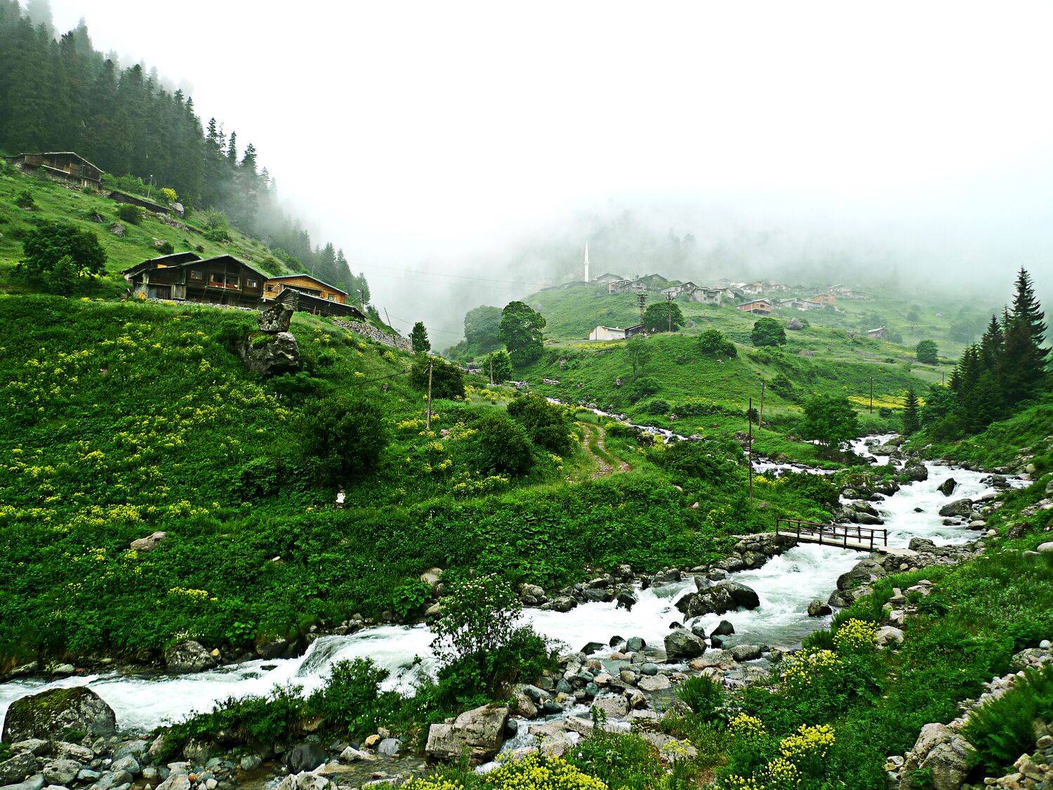 doğadan