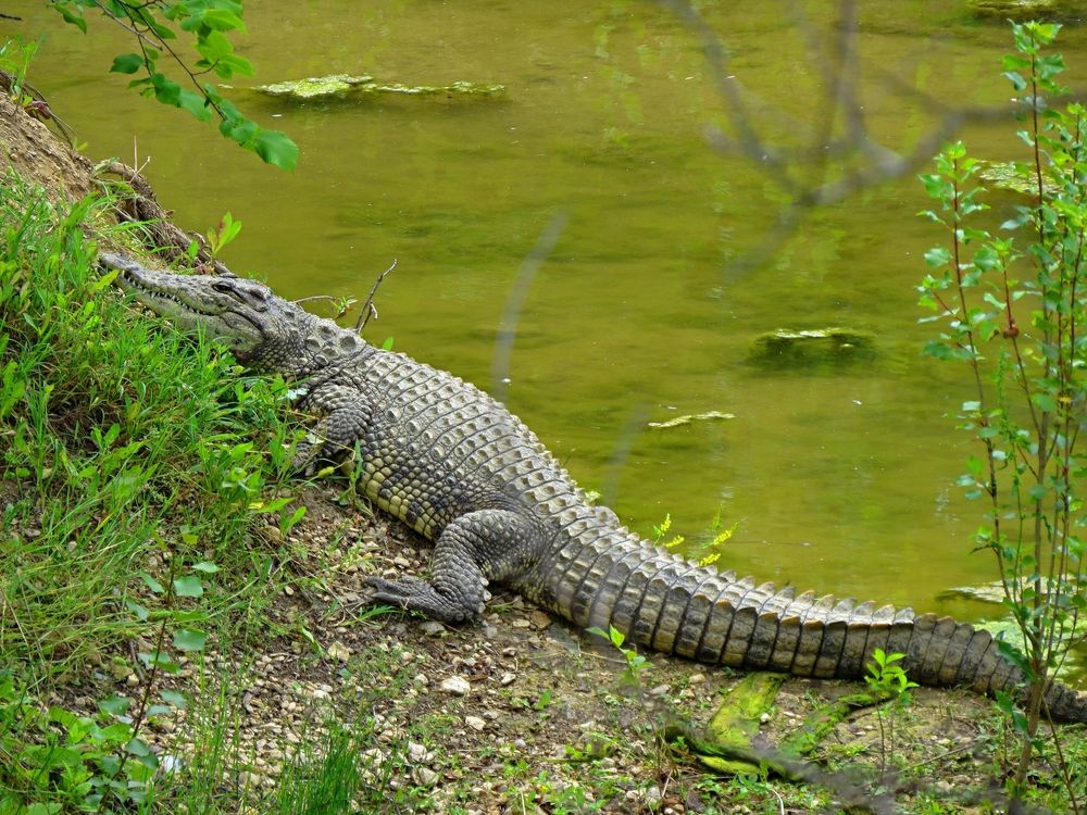 Photograph by Фартушняк Сергей