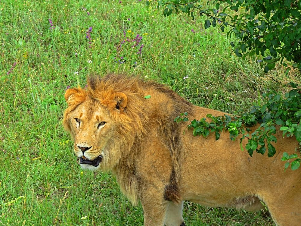 Photograph by Фартушняк Сергей