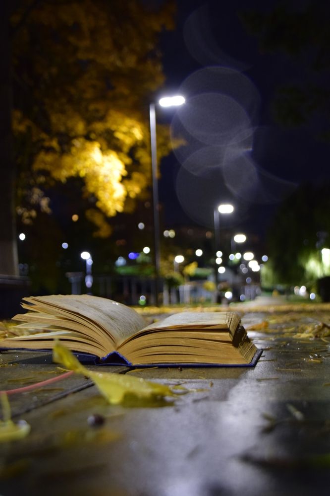 Photograph by Ольга Рыкова