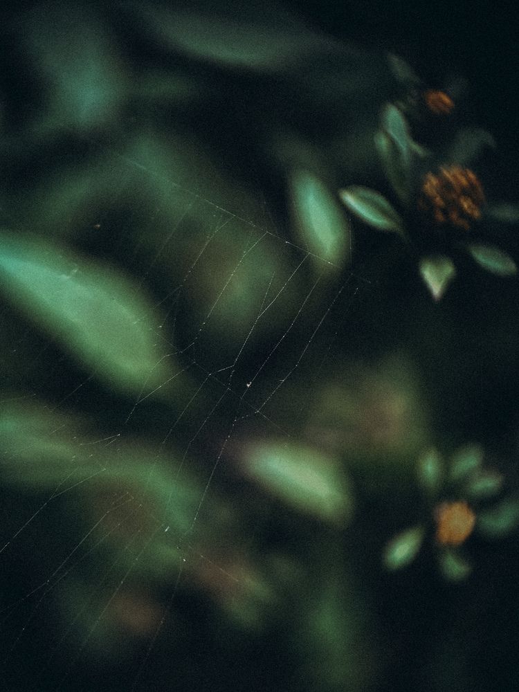 Photograph by Виктория Казакова