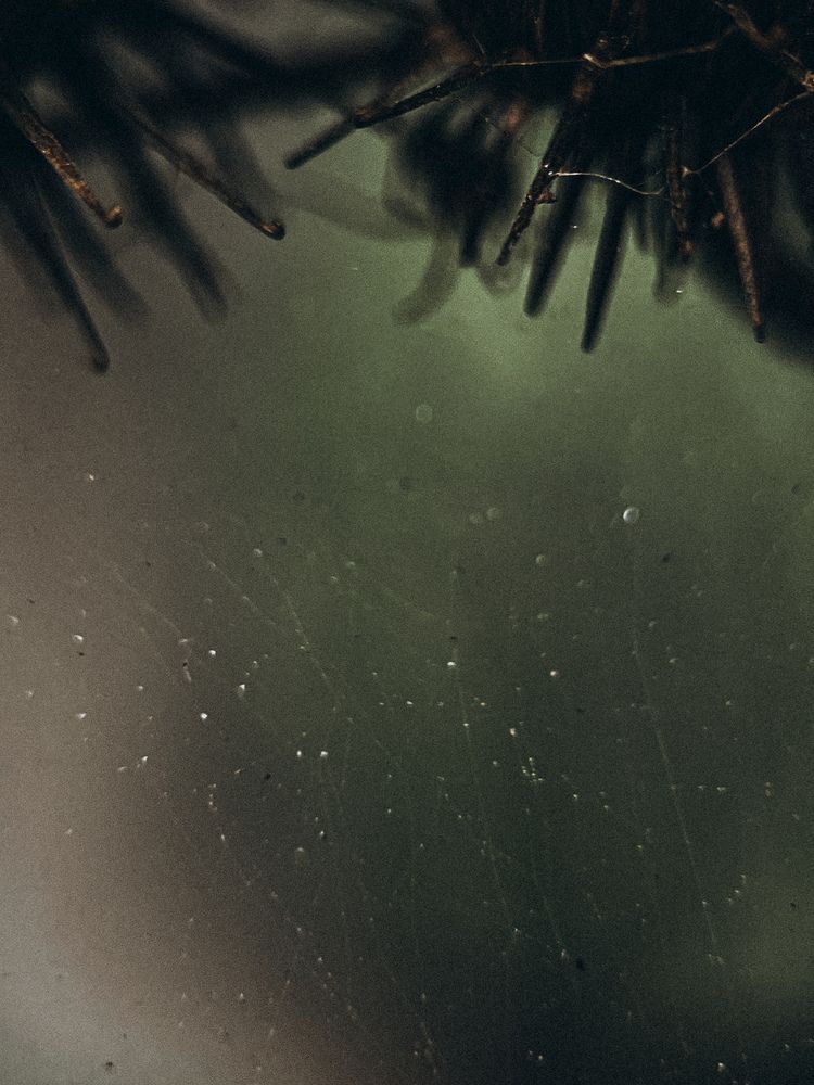 Photograph by Виктория Казакова