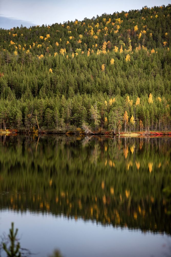 Photograph by Ксения Рябухина