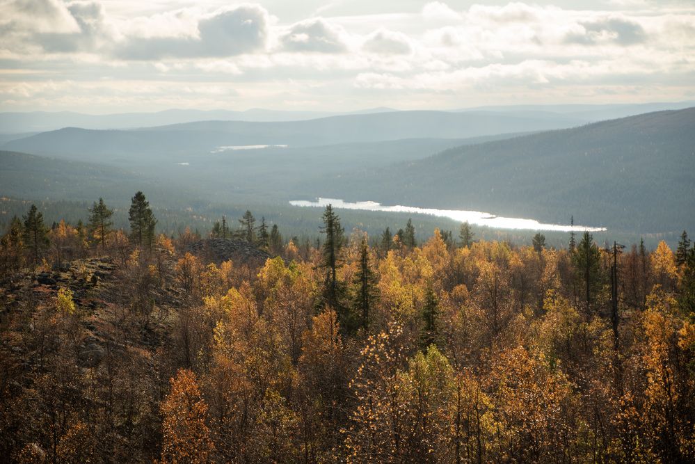 Photograph by Ксения Рябухина