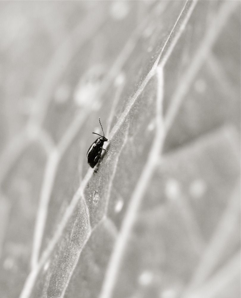Photograph by Алексей Трунов
