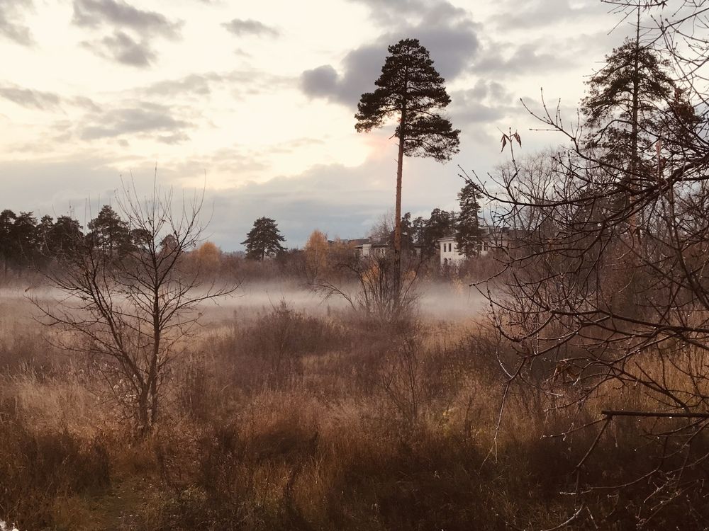 Photograph by Елена Храмова