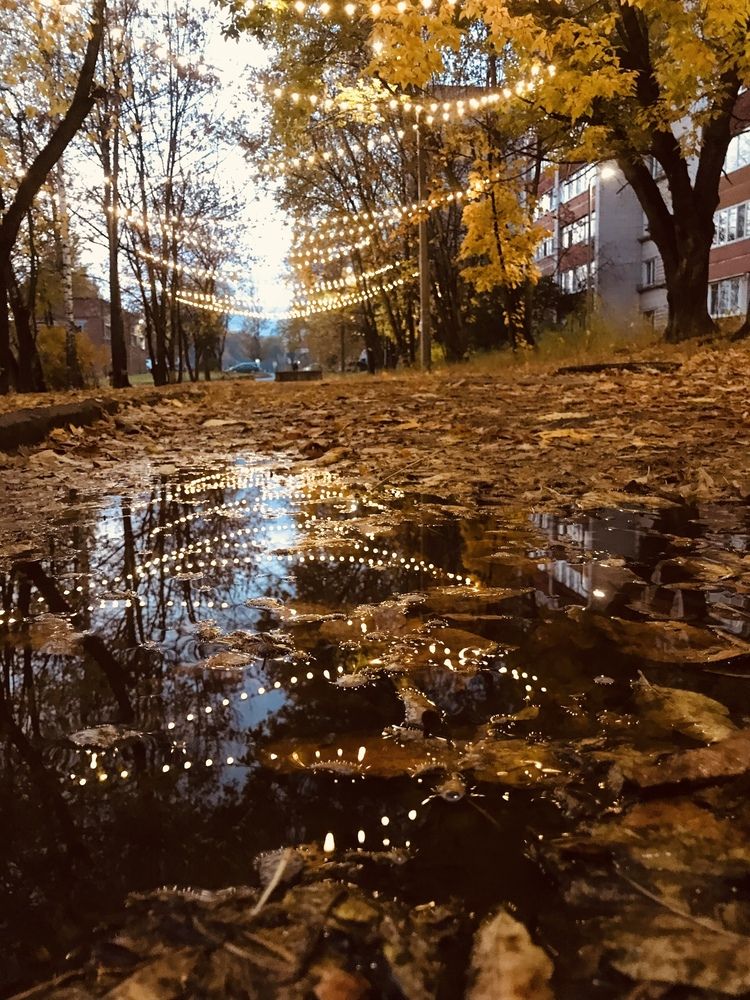 Photograph by Елена Храмова