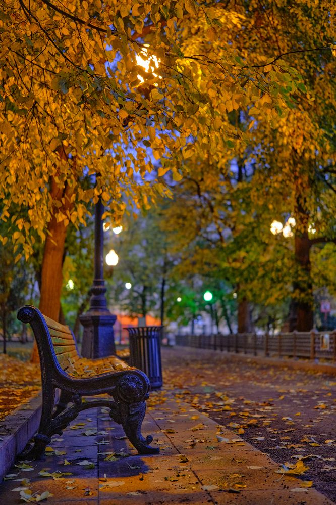 Photograph by Дегтярев Юрий