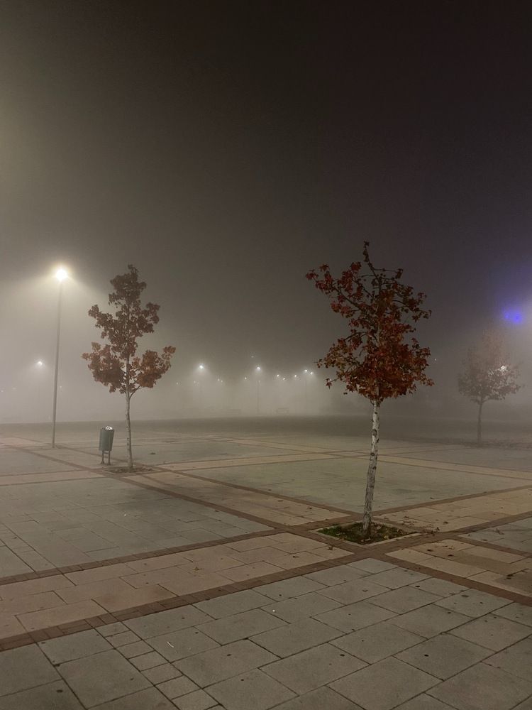 Photograph by Sandra Espitia
