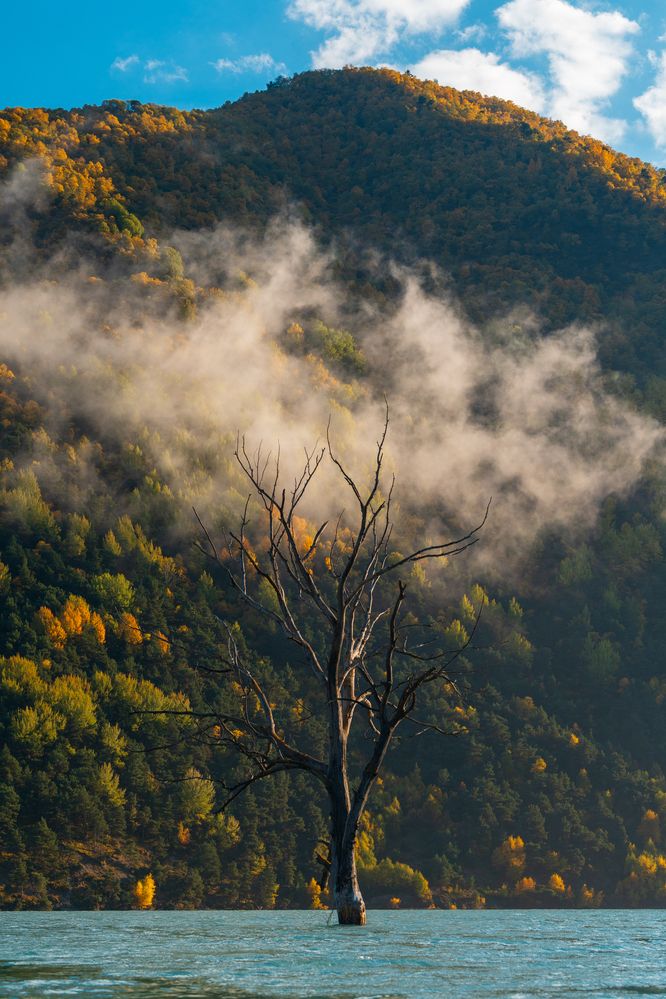 Фотография автора Олег Кожухов