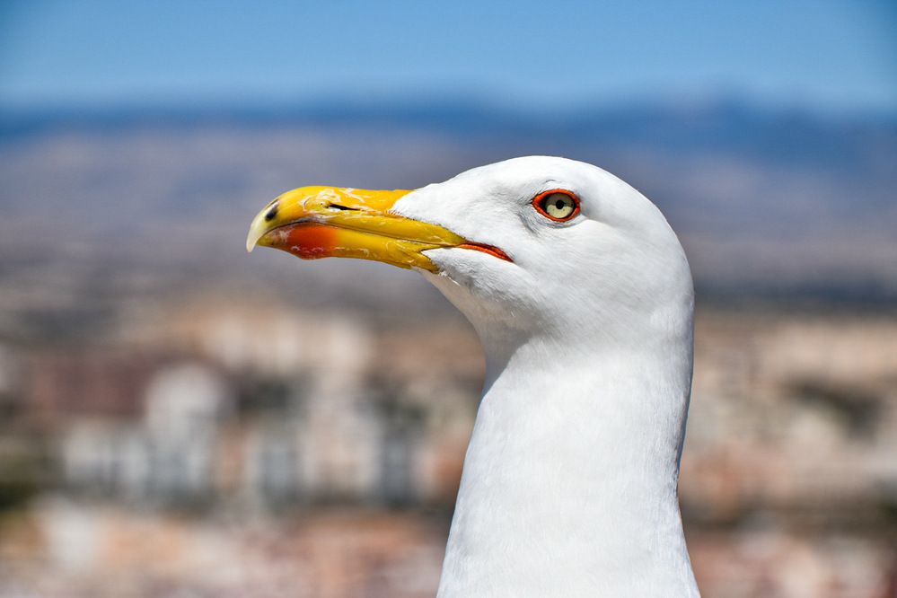 Photograph by Sandra Espitia