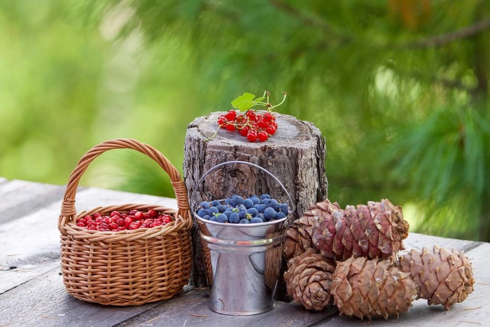 Фотография автора Viktoriya Kim