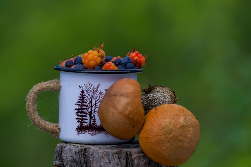 Фотография автора Viktoriya Kim