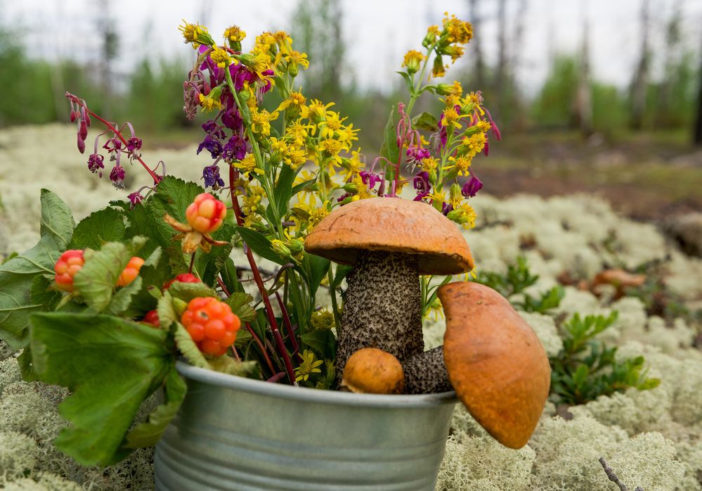 Фотография автора Viktoriya Kim