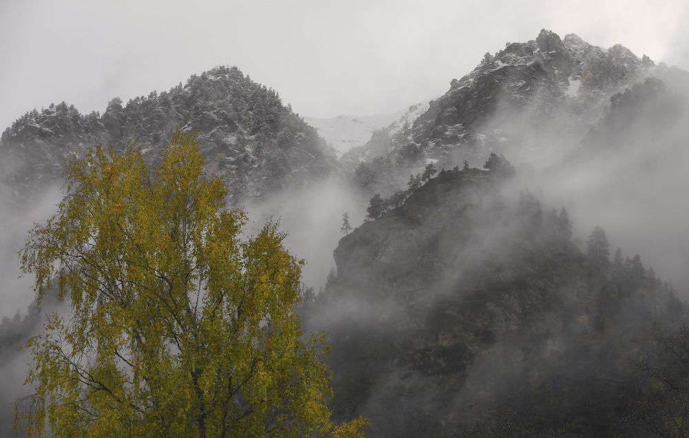 Photograph by Пирог Борис