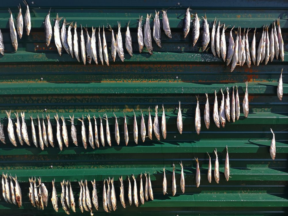 Photograph by Ольга Мусиенко