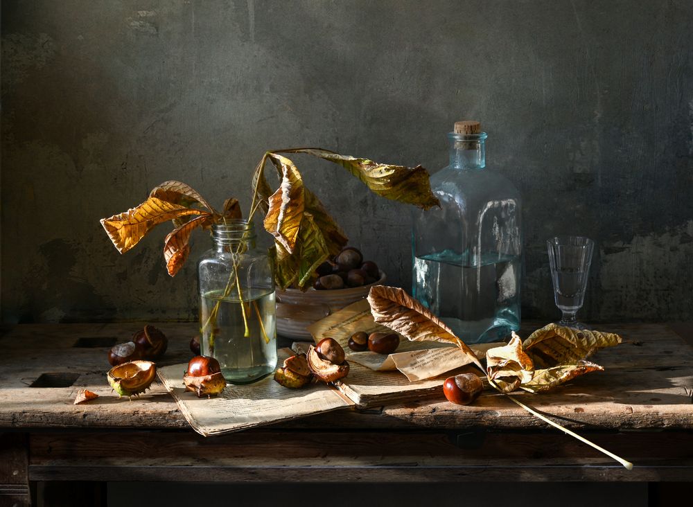 Photograph by Елена Виноградова