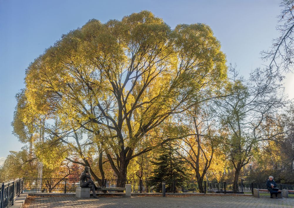 Photograph by Киселев Сергей