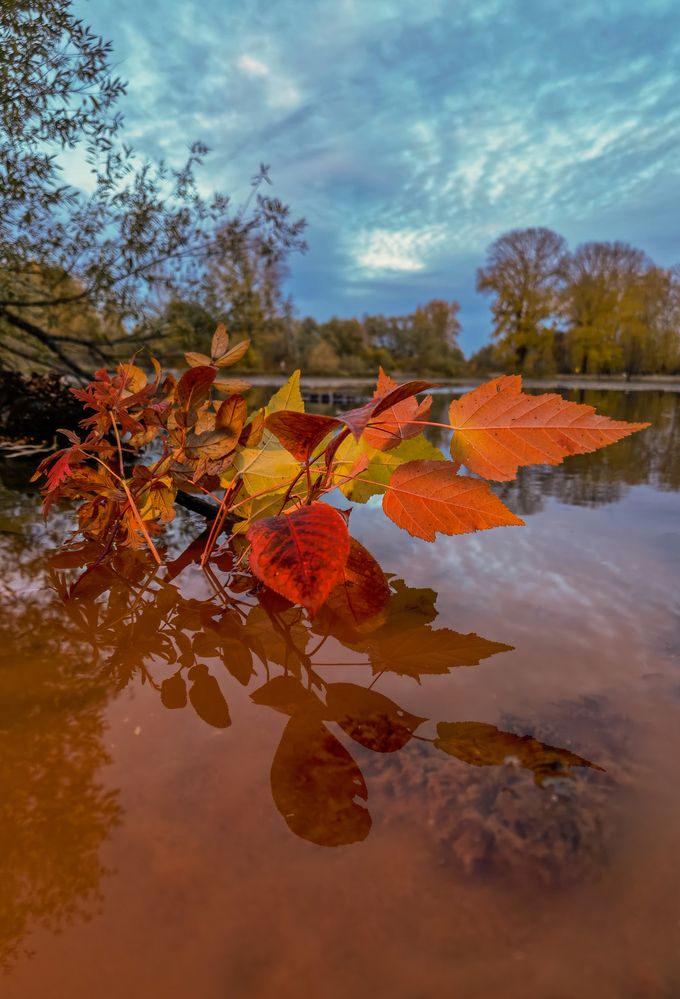 Photograph by Александр Разумов