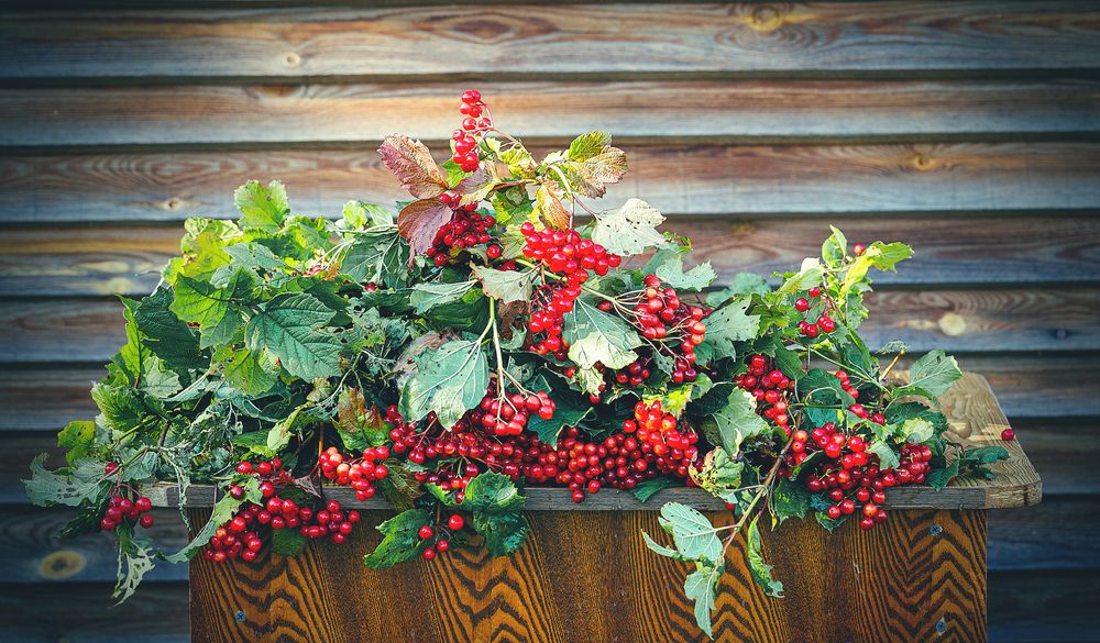 Photograph by Ольга Чибисова