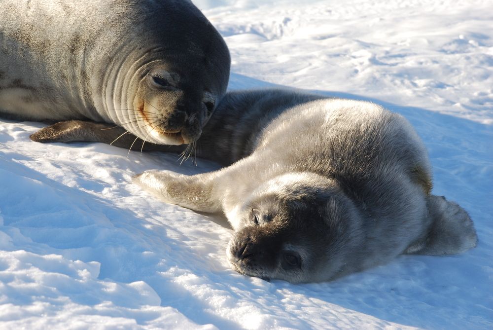 Photograph by Лев Синкин