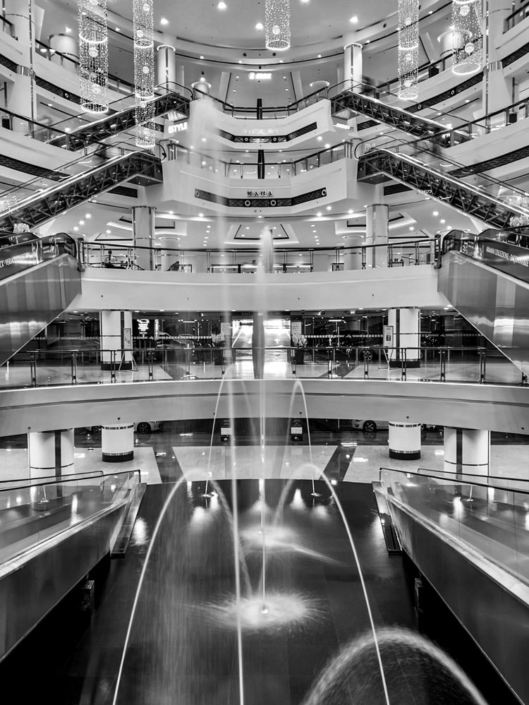 Photograph by Hadine elsaadi