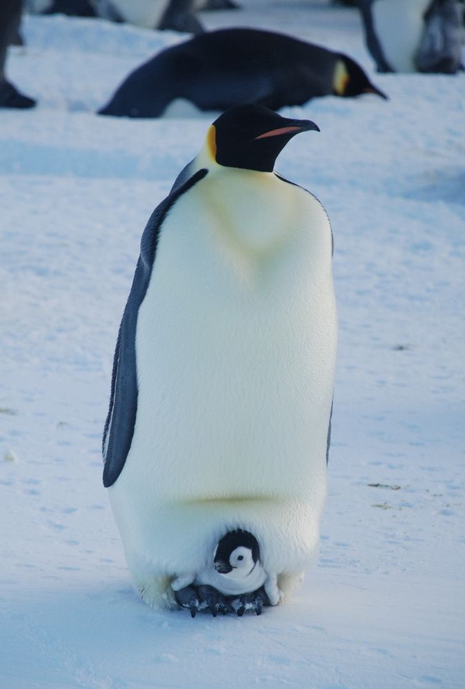 Photograph by Лев Синкин